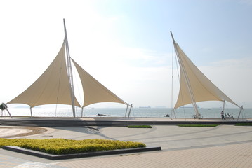 小驳骨有什么功效？