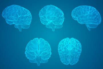 口袋妖怪漆黑的魅影怎么去第二个世界 进入二周目攻略