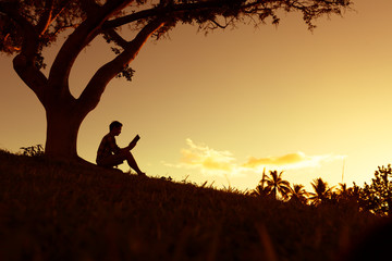 小驳骨有什么功效？