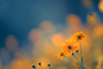 医院活动策划方案