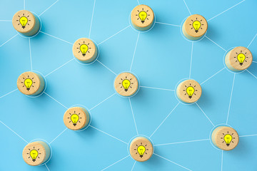 俄罗斯怎么可能有桉树