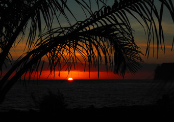 外国是怎么过清明节的？