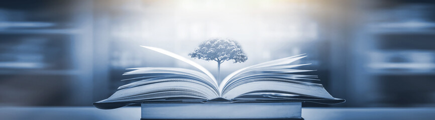 俄罗斯怎么可能有桉树