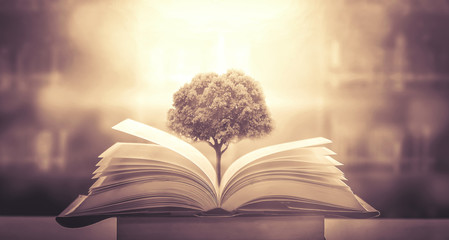 植物堆起来发热的原因