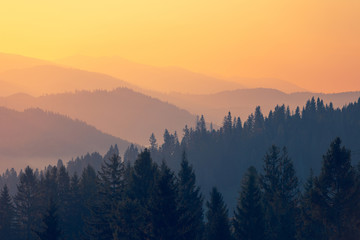 三峡指的是哪三峡？