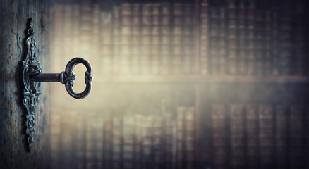 小驳骨有什么功效？