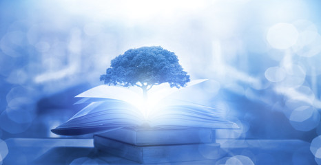 中国各个朝代顺序表