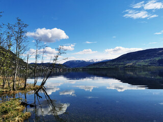 医院活动策划方案