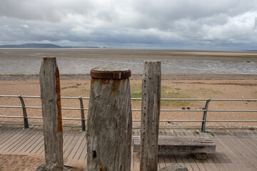 原神教令院小问题隐藏成就