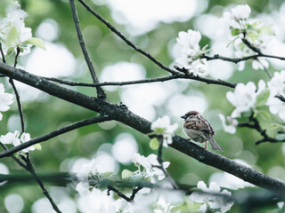 植物堆起来发热的原因
