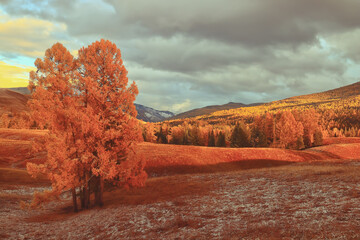 迈锐宝为什么比君威便宜？