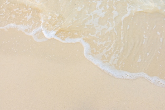 原神教令院小问题隐藏成就