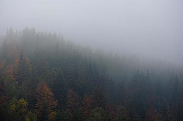 轩逸可以改电动折叠后视镜吗