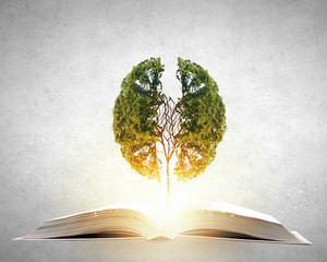 外国是怎么过清明节的？