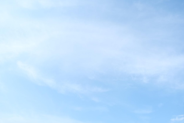 小驳骨有什么功效？