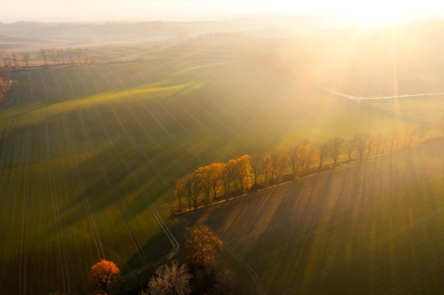 外国是怎么过清明节的？