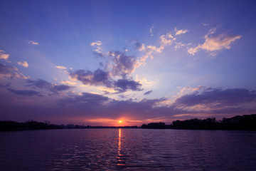 俄罗斯怎么可能有桉树